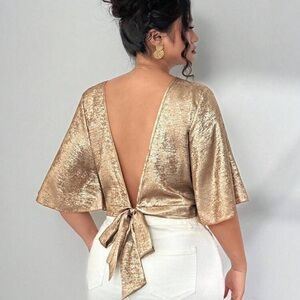 Elenzga Plus Size Shiny Fabric Butterfly Sleeve Design Dating/Party Blouse